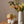 Load image into Gallery viewer, Cottontail Pot