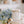 Load image into Gallery viewer, Cape Cod Soy Candle