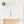 Load image into Gallery viewer, Daily Overview Notepad