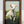 Load image into Gallery viewer, Lamb's Meadow