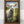 Load image into Gallery viewer, Lamb's Field