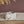 Load image into Gallery viewer, Nestled Bunny Pot