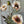 Load image into Gallery viewer, Blushing Meadow Poppy