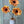 Load image into Gallery viewer, Pomelo Poppies