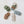 Load image into Gallery viewer, Round Cotton Crocheted Coasters