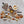 Load image into Gallery viewer, All Purpose Seasoning