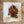 Load image into Gallery viewer, Sweet Heat Honey Habanero BBQ Sauce