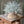 Load image into Gallery viewer, Compass Vine Half Sphere