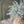 Load image into Gallery viewer, Compass Vine Half Sphere