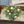 Load image into Gallery viewer, Garden Bliss Half Sphere