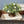 Load image into Gallery viewer, Garden Bliss Half Sphere