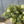 Load image into Gallery viewer, Garden Bliss Half Sphere