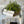 Load image into Gallery viewer, Baby’s Grass Half Sphere
