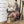 Load image into Gallery viewer, Eleanor Arch