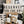Load image into Gallery viewer, Reserved for the Dog