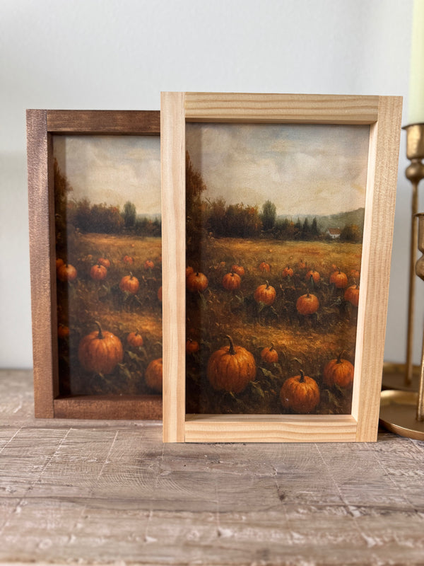 Pumpkin Patch