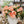 Load image into Gallery viewer, Peony Bundle