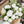 Load image into Gallery viewer, Peony Bundle