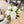Load image into Gallery viewer, Peony Bundle