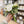 Load image into Gallery viewer, Peony Bundle