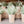 Load image into Gallery viewer, Dusty Greens in Paper Pot