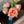Load image into Gallery viewer, Peony Bundle