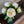 Load image into Gallery viewer, Peony Bundle