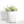 Load image into Gallery viewer, Engraved Fern Vase