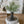 Load image into Gallery viewer, Mixed Sage Bush