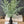 Load image into Gallery viewer, Fern Bundle