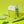 Load image into Gallery viewer, Power Mist, Aloe You