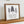 Load image into Gallery viewer, Looks Great. Little Full. Lotta Sap.
