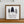 Load image into Gallery viewer, Looks Great. Little Full. Lotta Sap.