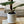 Load image into Gallery viewer, Potted Fiddle Leaf Fig