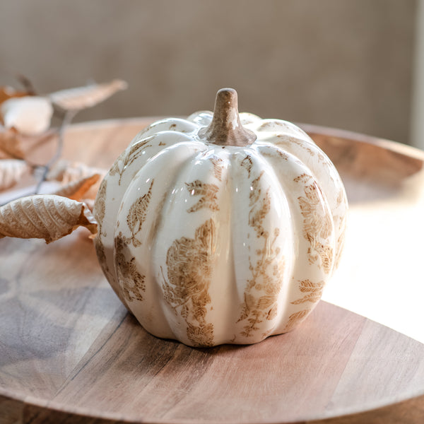 Beige Heirloom Pumpkin