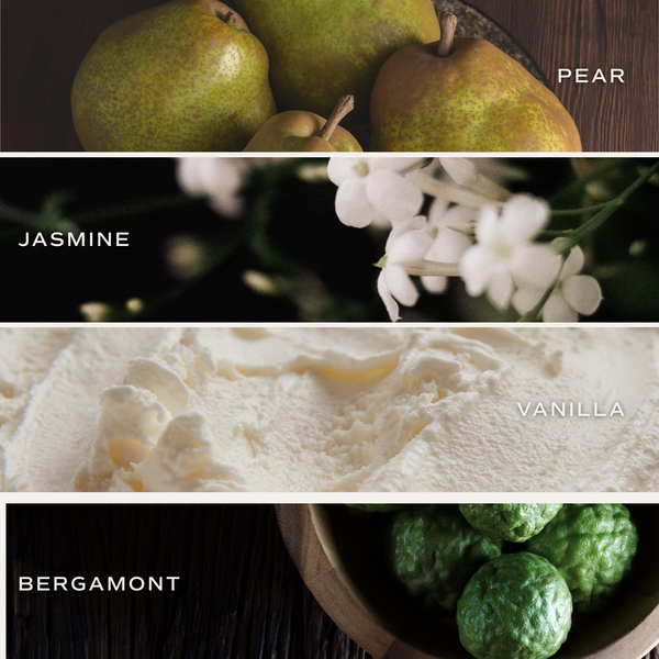 Cashmere and Vanilla Reed Diffuser