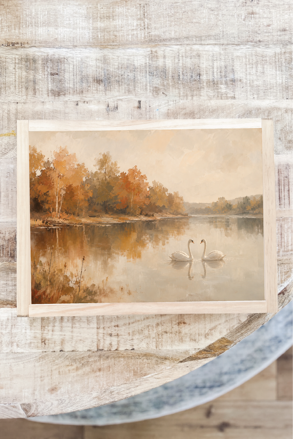 Autumn Lakeside Swans, Horizontal