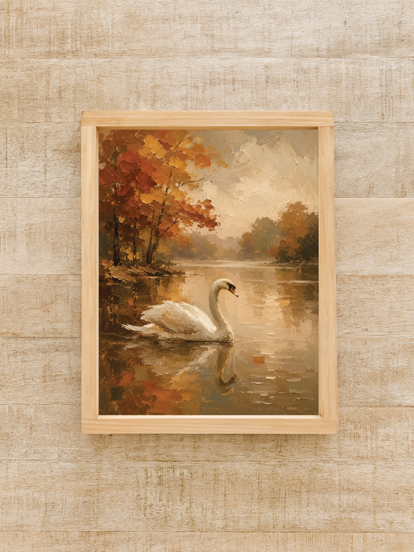 Moody Swan