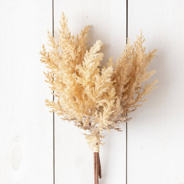 Beige Plumes