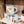 Load image into Gallery viewer, Woodland Harvest Mug
