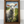 Load image into Gallery viewer, Lamb&#39;s Field
