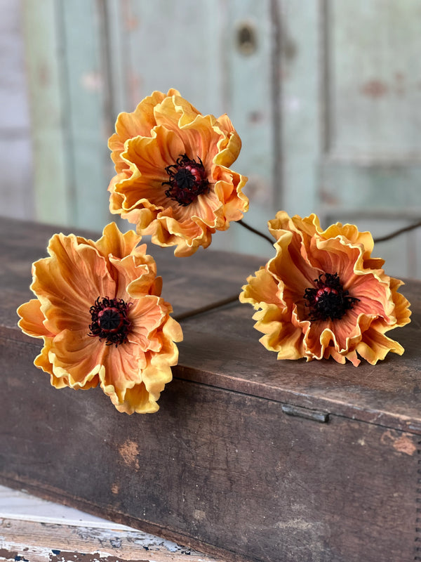 Pomelo Poppies