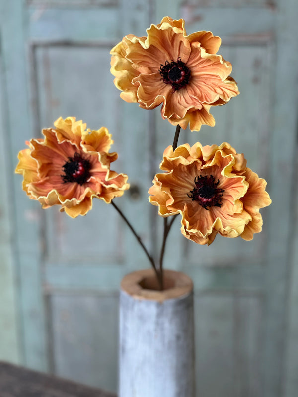 Pomelo Poppies