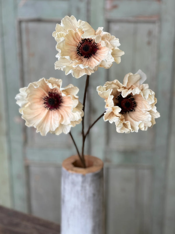 Pomelo Poppies