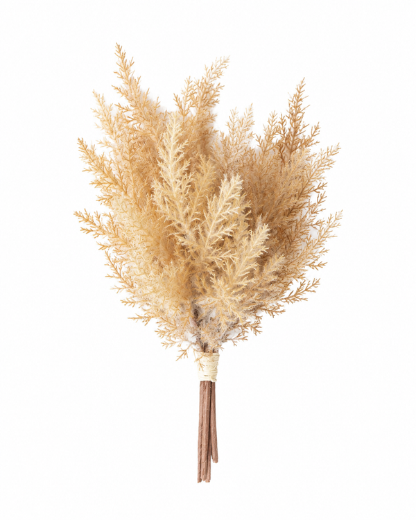Beige Plumes