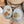Load image into Gallery viewer, Woodland Harvest Stoneware Dish

