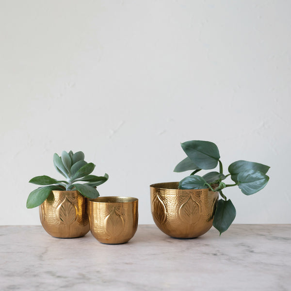 Debossed Antique Gold Planters