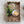Load image into Gallery viewer, Mango Wood Scalloped Tray
