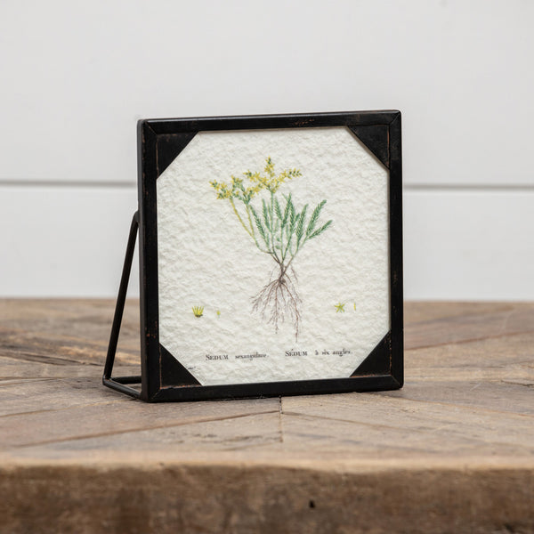 Printed Flower Black Frame