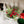 Load image into Gallery viewer, Red Cedar &amp; Berries Half Sphere
